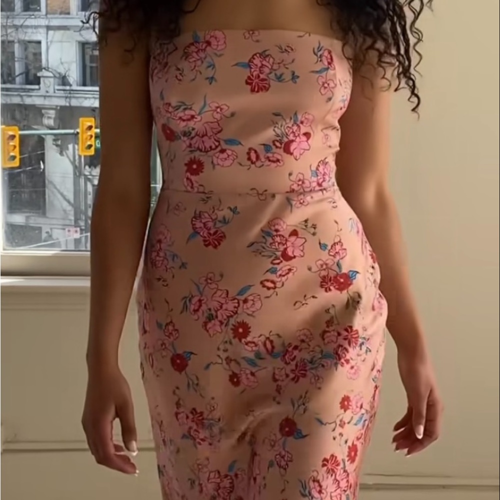 Park & Fifth Floral Floor Length Dress in Pink and Blue